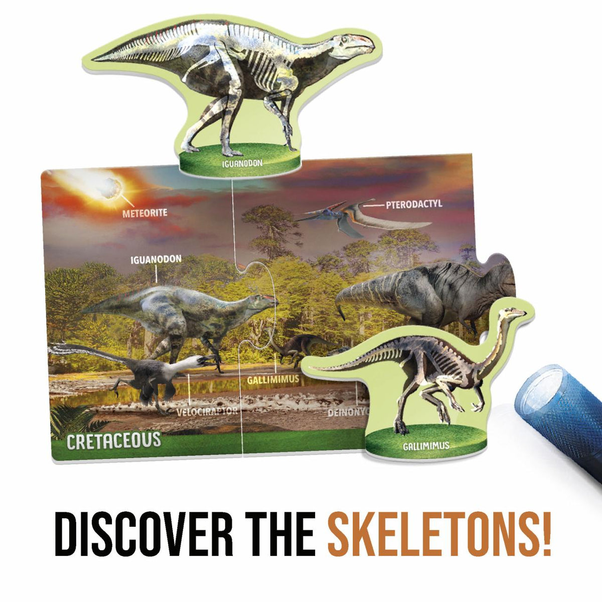 Headu X-Ray Mission Dinosaurs - photo 4