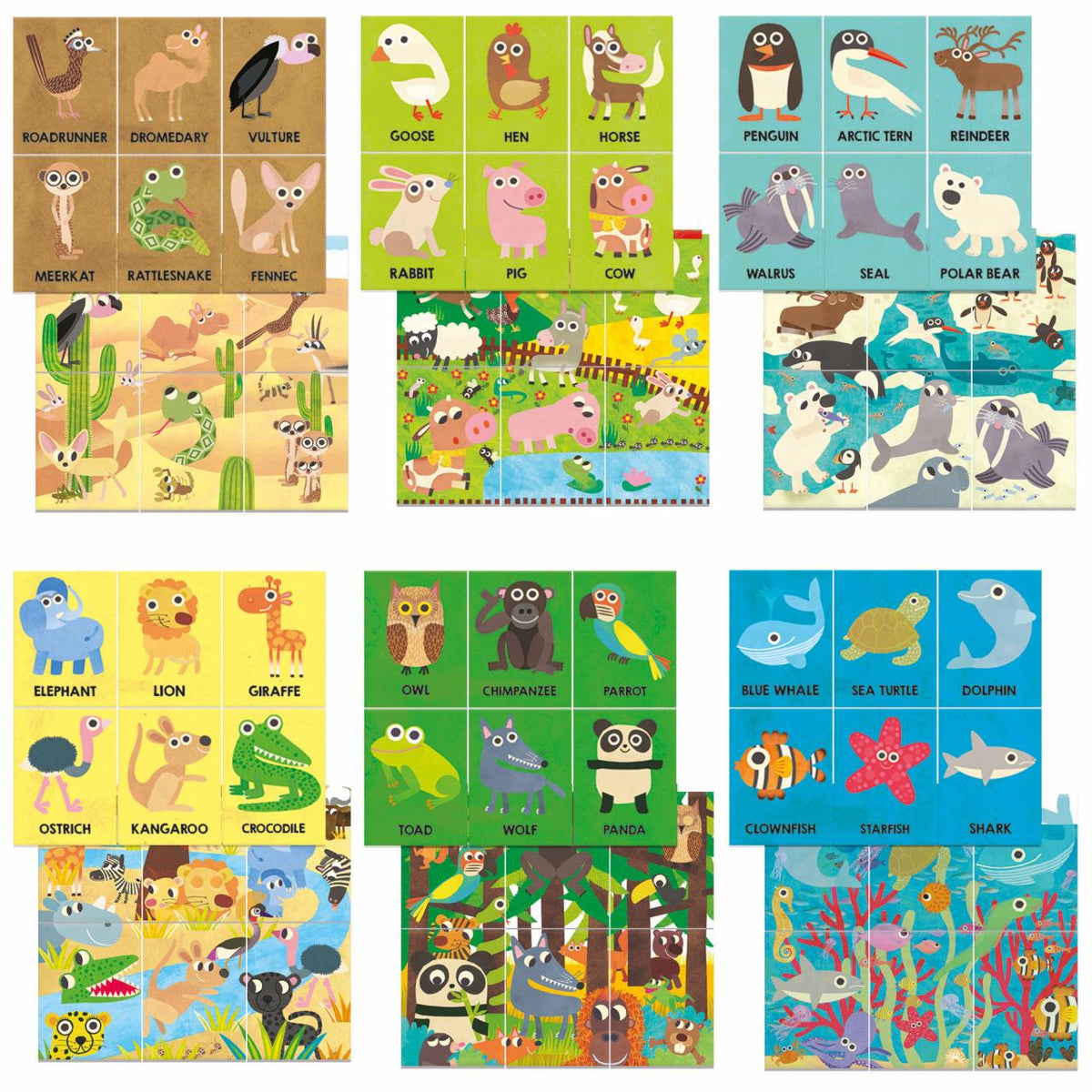 Headu Maxi Flashcards Montessori Animal Encyclopedia - photo 2