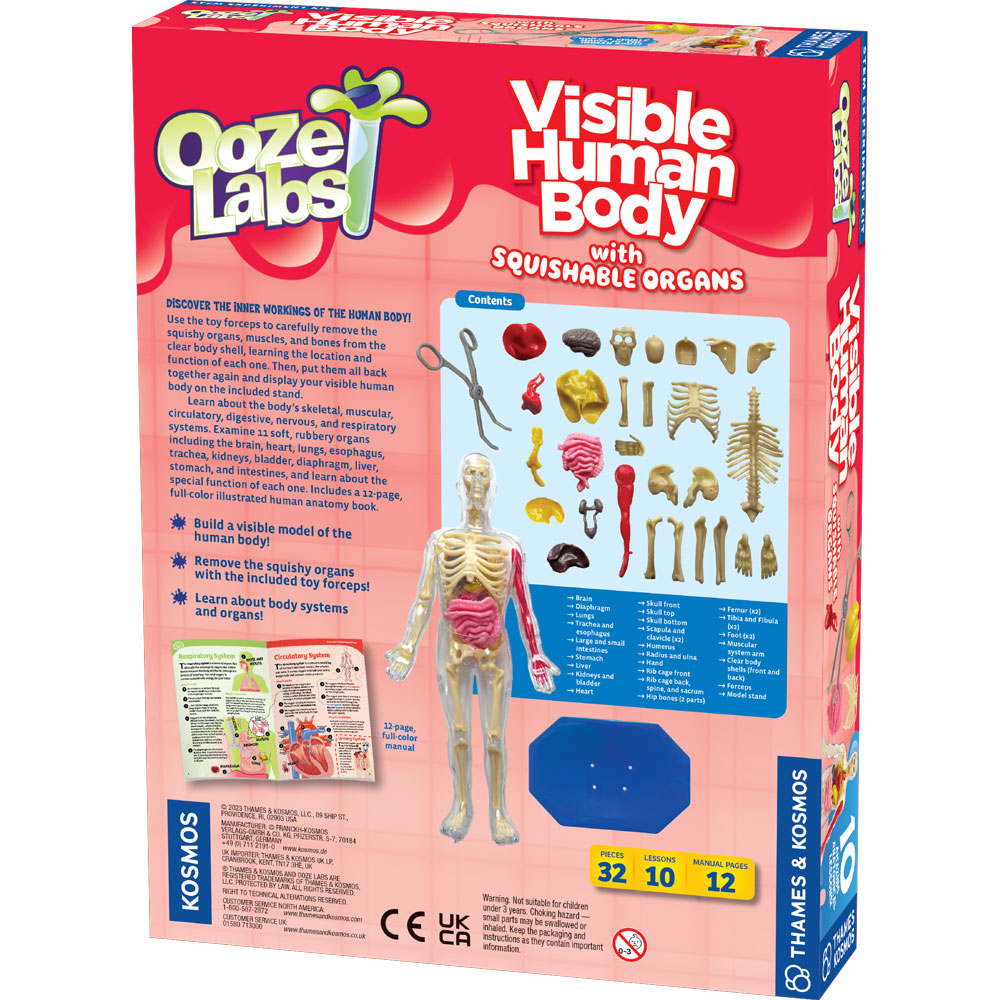 Thames & Kosmos Ooze Labs Visible Human Body with Squishable Organs