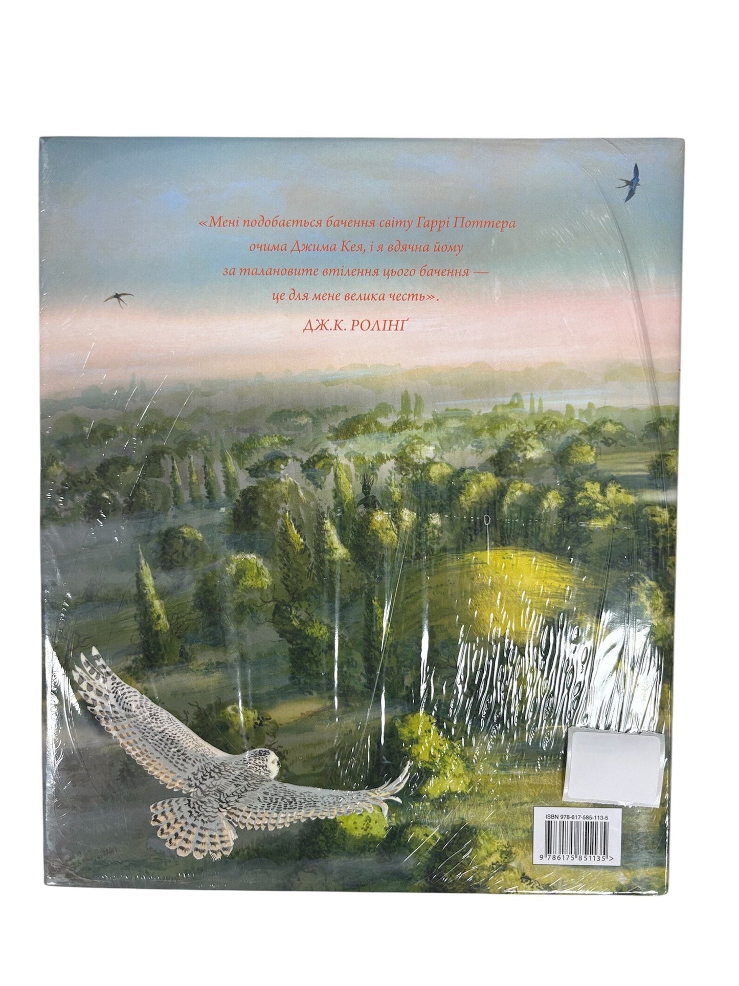 Harry Potter and the Chamber of Secrets Book Ukrainian Version