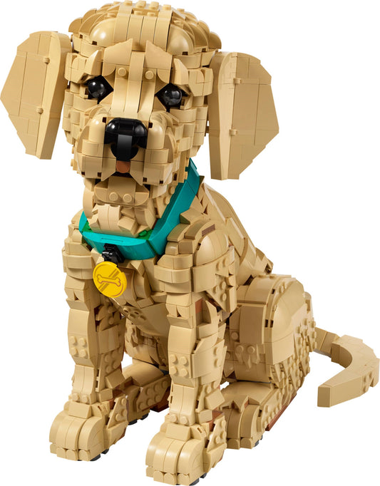 LEGO Icons Golden Retriever Puppy (11384) box art