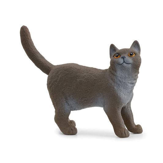 Schleich Farm World British Shorthair Cat Figure (13973)