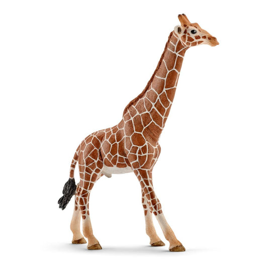 Schleich Wild Life Giraffe, Male Figure (14749)