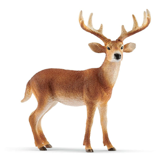 Schleich Wild Life White-Tailed Buck Figure (14818)