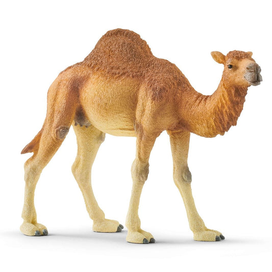 Schleich Wild Life Dromedary Figure (14832)