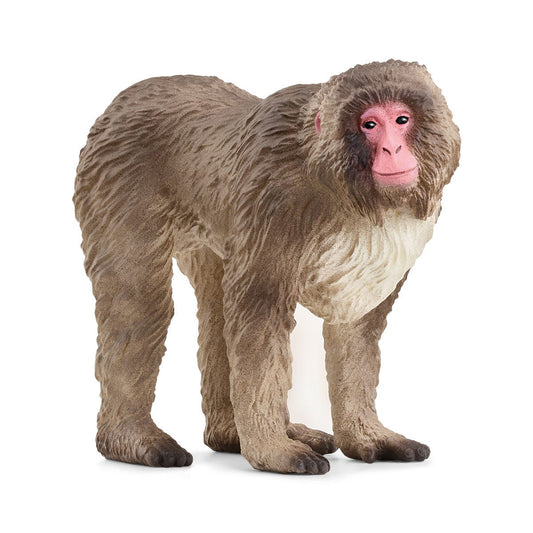 Schleich Wild Life Japanese Macaque Figure (14871)