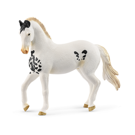 Schleich Horse Club Marwari Stallion Figure (14898)