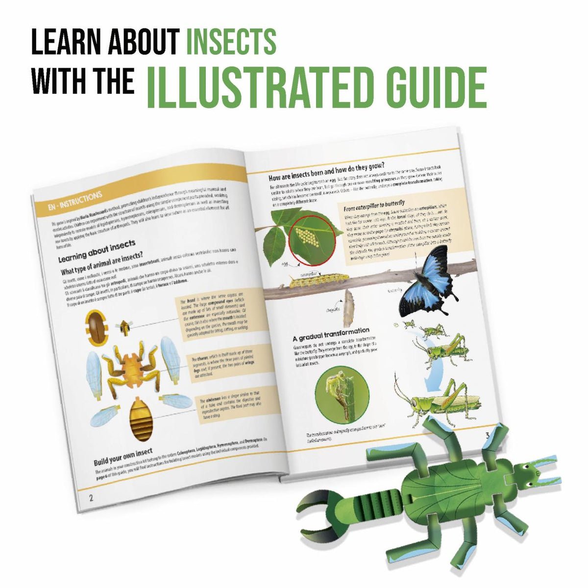 Headu Insect Builder - photo 4