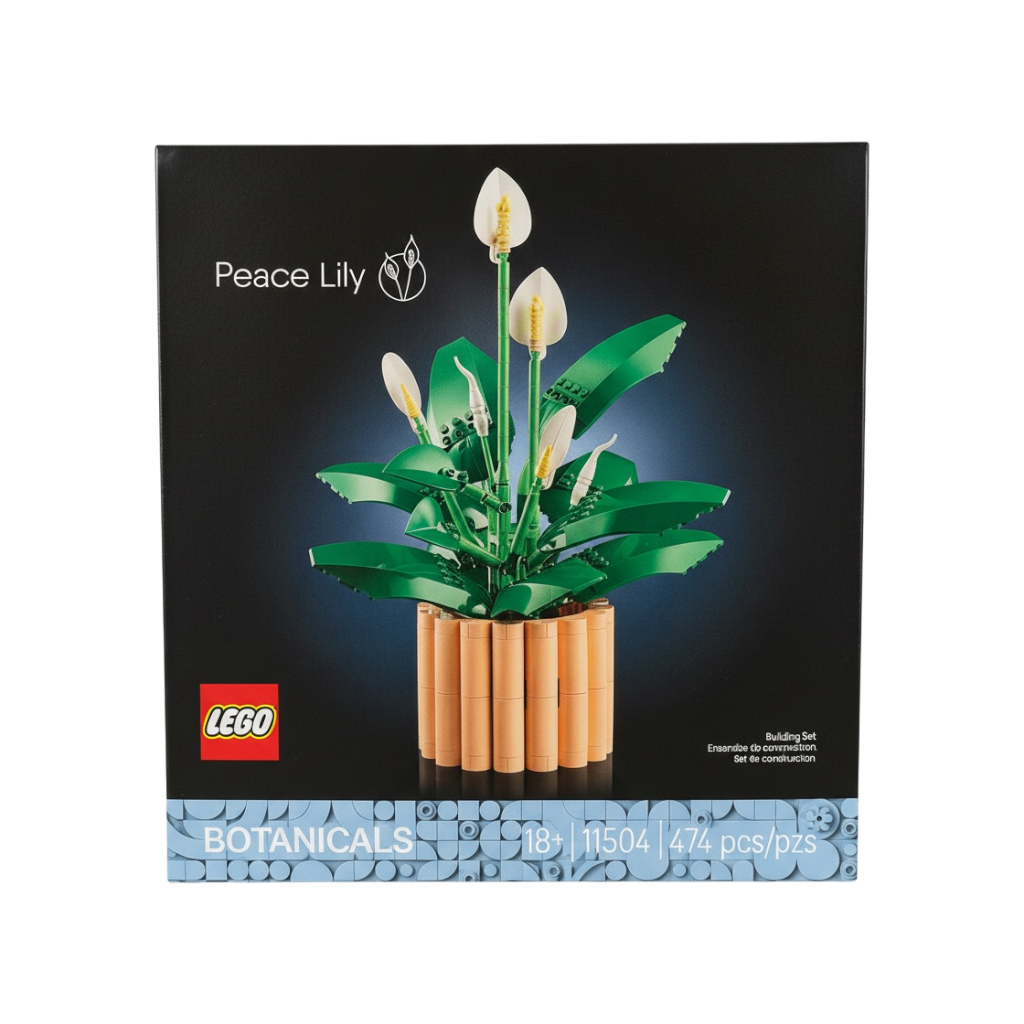 Peace Lily (11504)