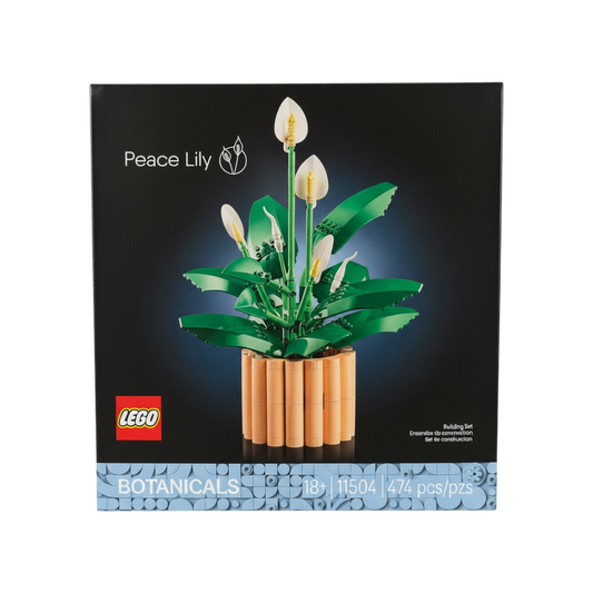 Peace Lily (11504)