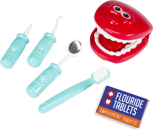 My World My Play Dentist Set with Mouth Model