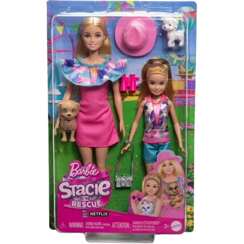 Barbie & Stacie Doll Set with 2 Pet Dogs (HRM09)