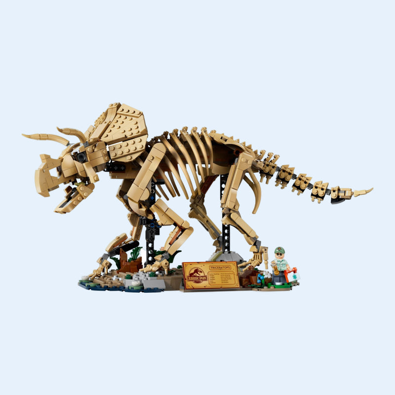 Educational and STEM toys